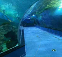 厂家定制大型亚克力鱼缸 大型水族箱定做 海洋馆观赏水族箱定做